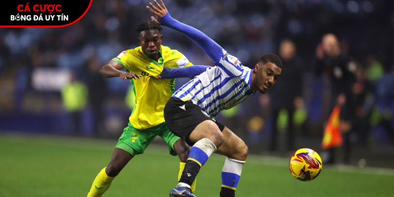 Soi kèo Norwich vs Sheffield Wednesday chi tiết